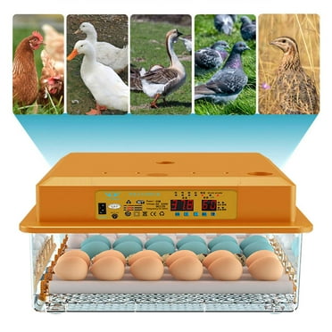 36 Egg Incubator for Hatching Eggs, Chicken Incubator for Eggs with Automatic Egg Turning and Humidity Control, Temperature Control & Egg Candler, Incubator for Chicken Quail Duck Goose Bird