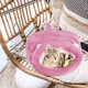 thumbnail image 5 of Saco de Dormir para Gatos de Lana Suave, Cama para Mascotas Lavable y cálida, Bolsa para Abrazos para Gatos, cojín y Perrera, Perrera Cerrada, Rosa, 50 * 40 cm Rojo Verde, 5 of 5