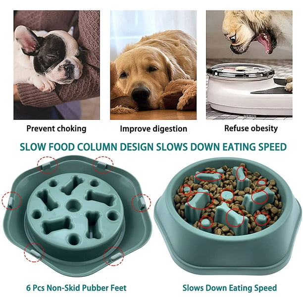 Dog bowls to hot sale stop fast eating
