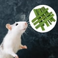 thumbnail image 4 of Molar Chew Toy Papaya Stem, Chewing Rod Cleaning Toothbrush Snacks Chew Rod For Rabbit For Bunny Chinchillas Pet Supplies Rabbits Colco tallo de papaya, 4 of 8