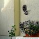 thumbnail image 4 of 2 Pack Security Camera Wall Mount Bracket,Adjustable Indoor/Outdoor Mount for Arlo Pro Arlo Pro 2 Arlo Ultra and Other Compatible Models(White), 4 of 5
