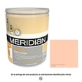 thumbnail image 1 of Pintura Meridian Estándar 1 Año Color  Melón Mate 4 Litros, 1 of 4