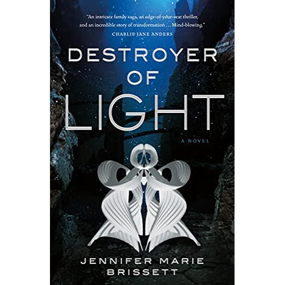 Pre-Owned Destroyer of Light (Hardcover) 1250268656 9781250268655