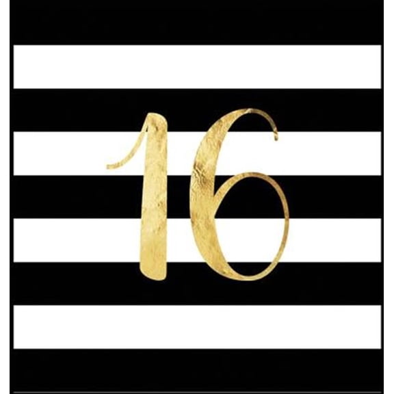 Pre-Owned Happy 16th Birthday Guest Book (Hardcover): Sweet Sixteen Guest book, party and birthday celebrations decor, memory book, 16th birthday, happy birthday guest book, celebration message log book, celebr