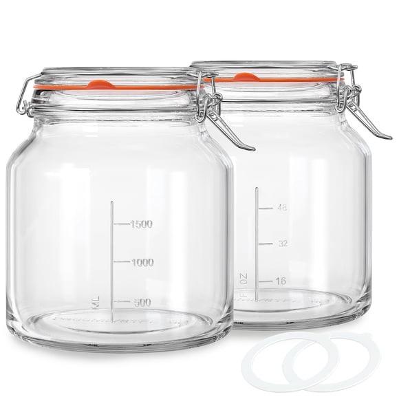 Frasco de vidrio Qianfenie, paquete de 2 unidades, 2.35 L (79 oz) con tapa de boca ancha