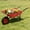 Black+Red, variant on Heavy Duty Garden Carts, Folding car Poly Garden dump truck with steel frame, 10 inches. Pneumatic tire, 300 lb capacity body 55L black, Black Folding Garden Carts,Metal Garden Utility Carts