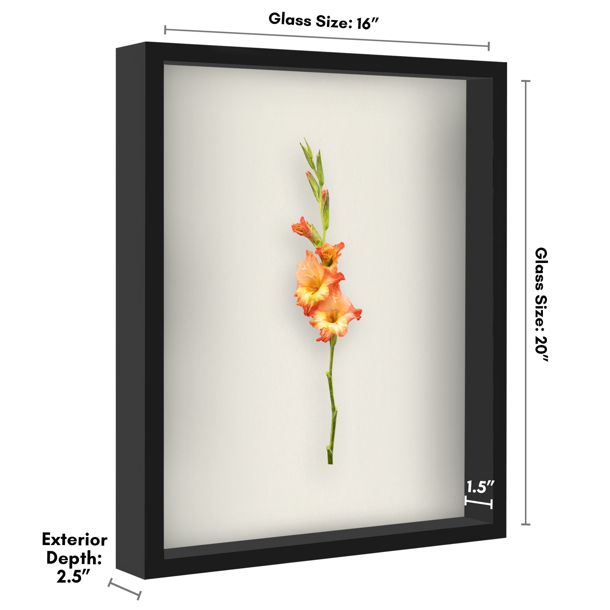 Americanflat 16x20 Shadow Box Frame with Polished Plexiglass Silhouette Collection Large Display Case - Black