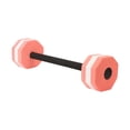thumbnail image 1 of (pink) water sports floating dumbbells, 1 of 14