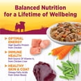 thumbnail image 3 of Wellness Petite Entrées Mini-Filets With Roasted Chicken, Beef, Carrots & Green Beans in Gravy, 3-Ounce Cup (Pack of 12), 3 of 6