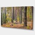 thumbnail image 2 of Green Fall Forest with Thick Woods - Modern Forest Canvas Art, 2 of 3
