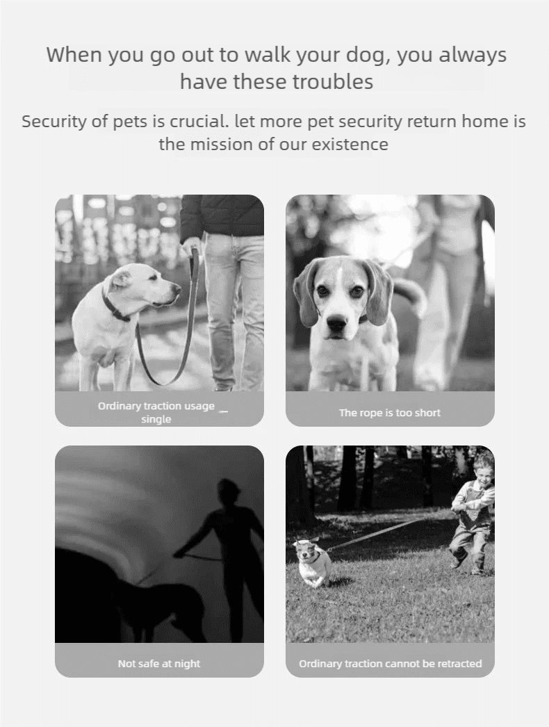 LED Ring - Shaped Retractable Dog Leash - Glow - in - the - Dark Pet Leash for Walking Dogs