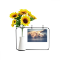 thumbnail image 1 of Animal Yellow Cat Photograph Picture Artificial Sunflower Vases Bottle Blessing Card, 1 of 3