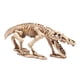 thumbnail image 3 of Billuyoard Adorno de esqueleto de lagarto, accesorios de hueso, decoraciones, esqueletos de animales, manualidades, casa de emulación de fiesta Decoración del hogar, 3 of 6