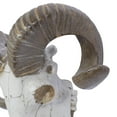 thumbnail image 4 of DecMode White Polystone Skull Sheep Wall Decor, 4 of 10