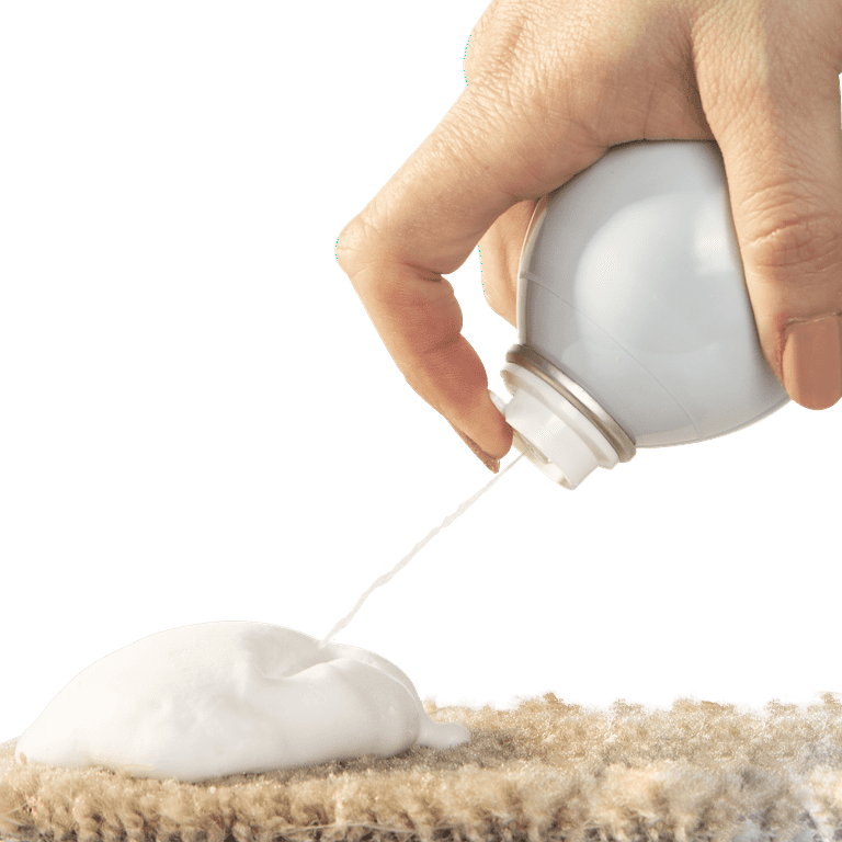 Dog Throwing Up Clear Foamy Liquid corona.dothome.co.kr