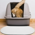 thumbnail image 2 of OULII Catch Spills Pet Feeding Mat Absorbent Diatomite 1 Set for Pet Owners, 2 of 8