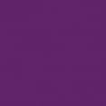 thumbnail image 2 of Design Master Colortool 12oz Violet, 2 of 2