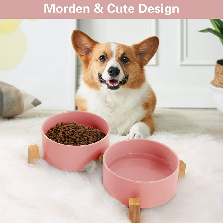 Nordmiex Ceramic Dog Bowl Set Dog Food and Water Bowls with Stand