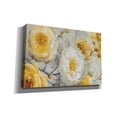 thumbnail image 2 of Epic Graffiti 'Sunshine' by Lisa Audit, Canvas Wall Art, 60"x40", 2 of 2