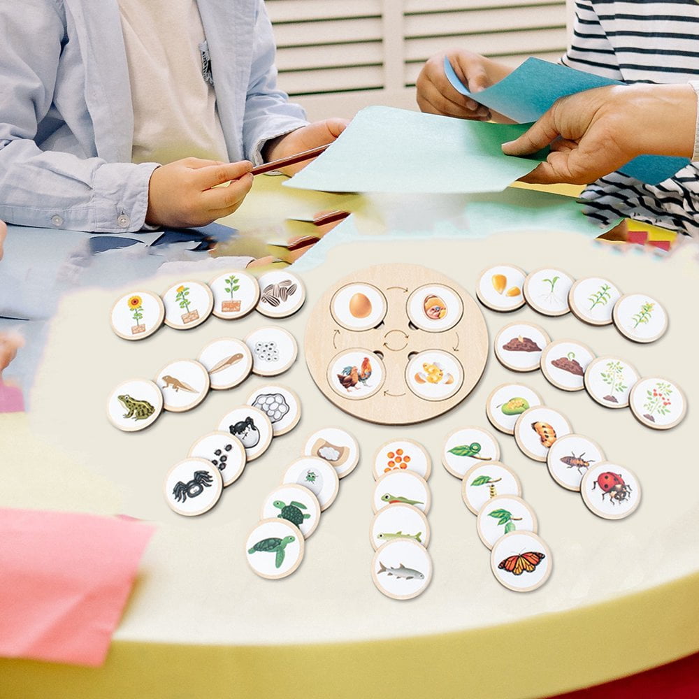 Plateau Cycle De Vie Montessori - Jouet Bois éducatif Pour Insectes Et Animaux