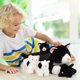 thumbnail image 5 of Peluche Skylety Cat con bebés en el vientre, 5 unidades, 5 of 6
