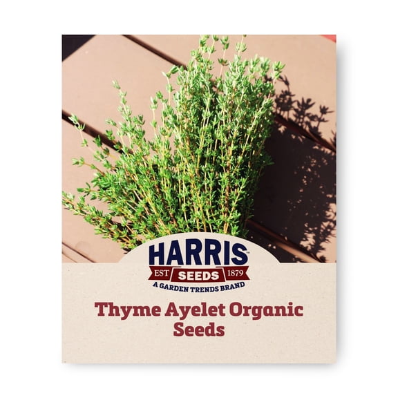 Harris Seeds Ayelet Organic Thyme, Perennial Culinary Herb, 50 Count