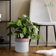 thumbnail image 6 of Sanjay Large Indoor Planter, Glossy Finish Metal Planter, Enamel Floral & White Planter for Indoor Plants with 3 Felt Pads Underneath, Modern, Rustproof Home Decorations for Living Room - 10"x10"x9", 6 of 7