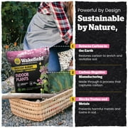 Wakefield Biochar Biochar Blend with CarbonBoost for House Plants - Indoor Soil - 4 Quart
