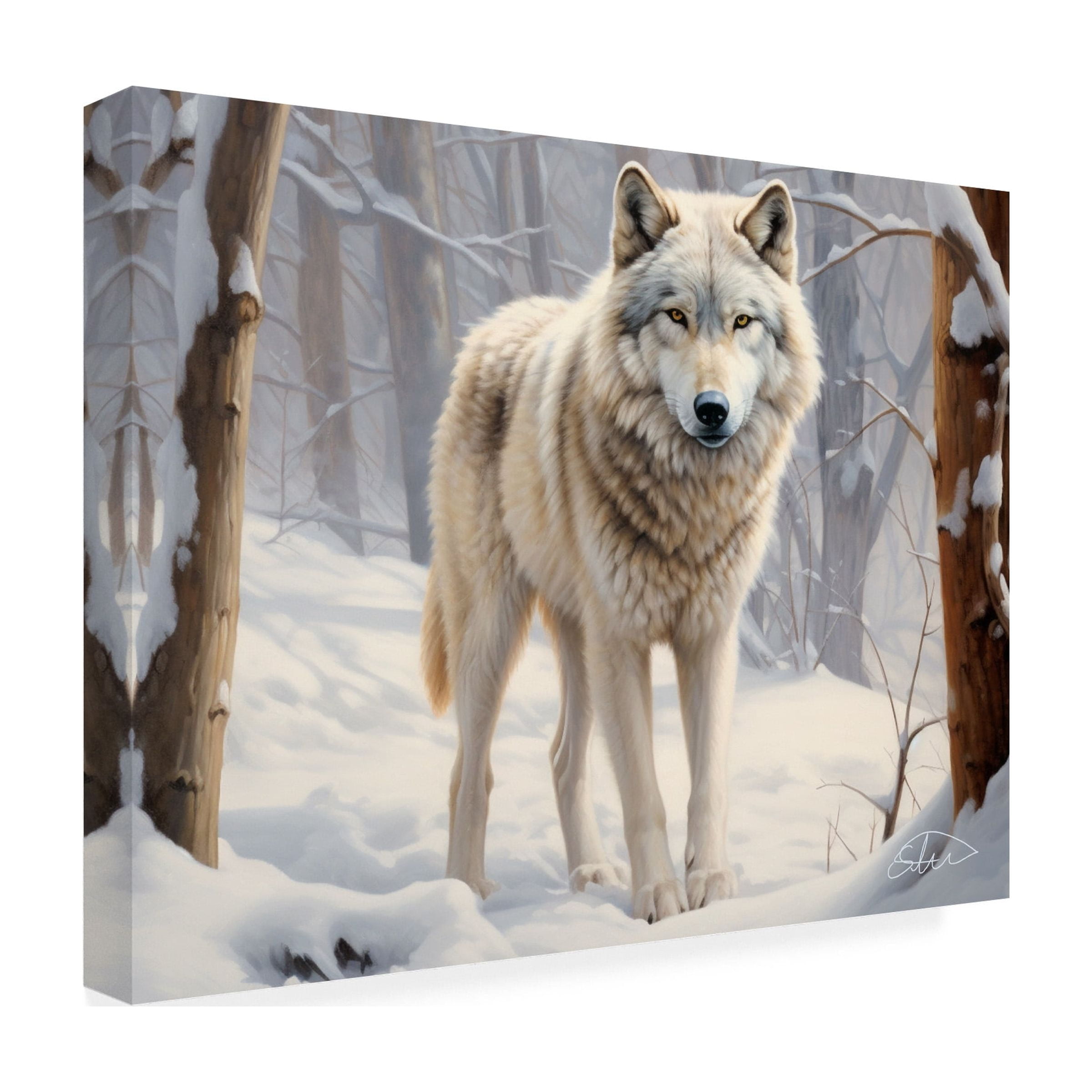 Canvas Wall Art - Stewart 'Hiding In Silence' Wall Art for Living Room, Bedroom, or Office DÃ©cor by Trademark Fine Art - 32 x 24 Inches
