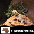thumbnail image 4 of 3 Pcs Cachettes Décoratives pour Reptiles Abris Résistants à l'Usure Décors Délicats pour Terrarium, 4 of 8