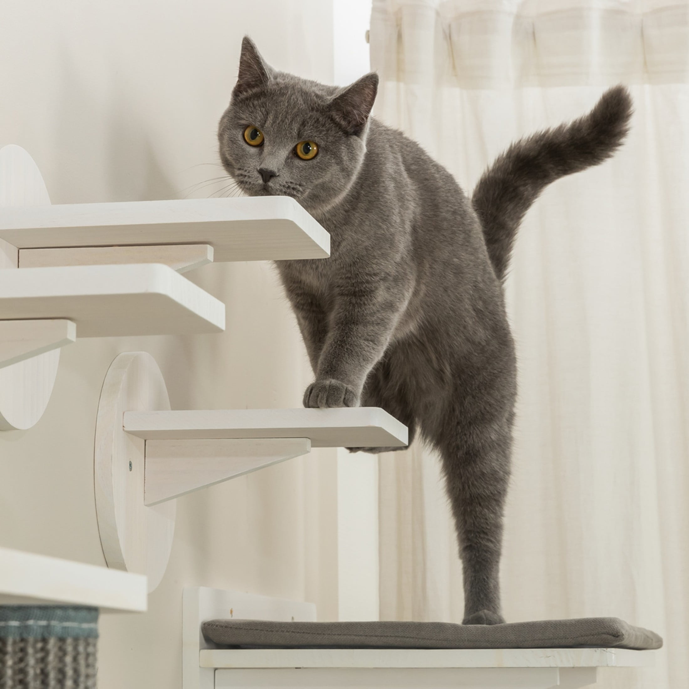 TRIXIE Wall Set 6 Wall Mounted Cat Perch System, Scratching Posts, Platforms, Steps, Gray