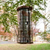 Perky-Pet Brass Squirrel Stumper Wild Bird Tube Feeder - 3 lb Capacity