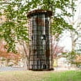 thumbnail image 2 of Perky-Pet Brass Squirrel Stumper Wild Bird Tube Feeder - 3 lb Capacity, 2 of 9