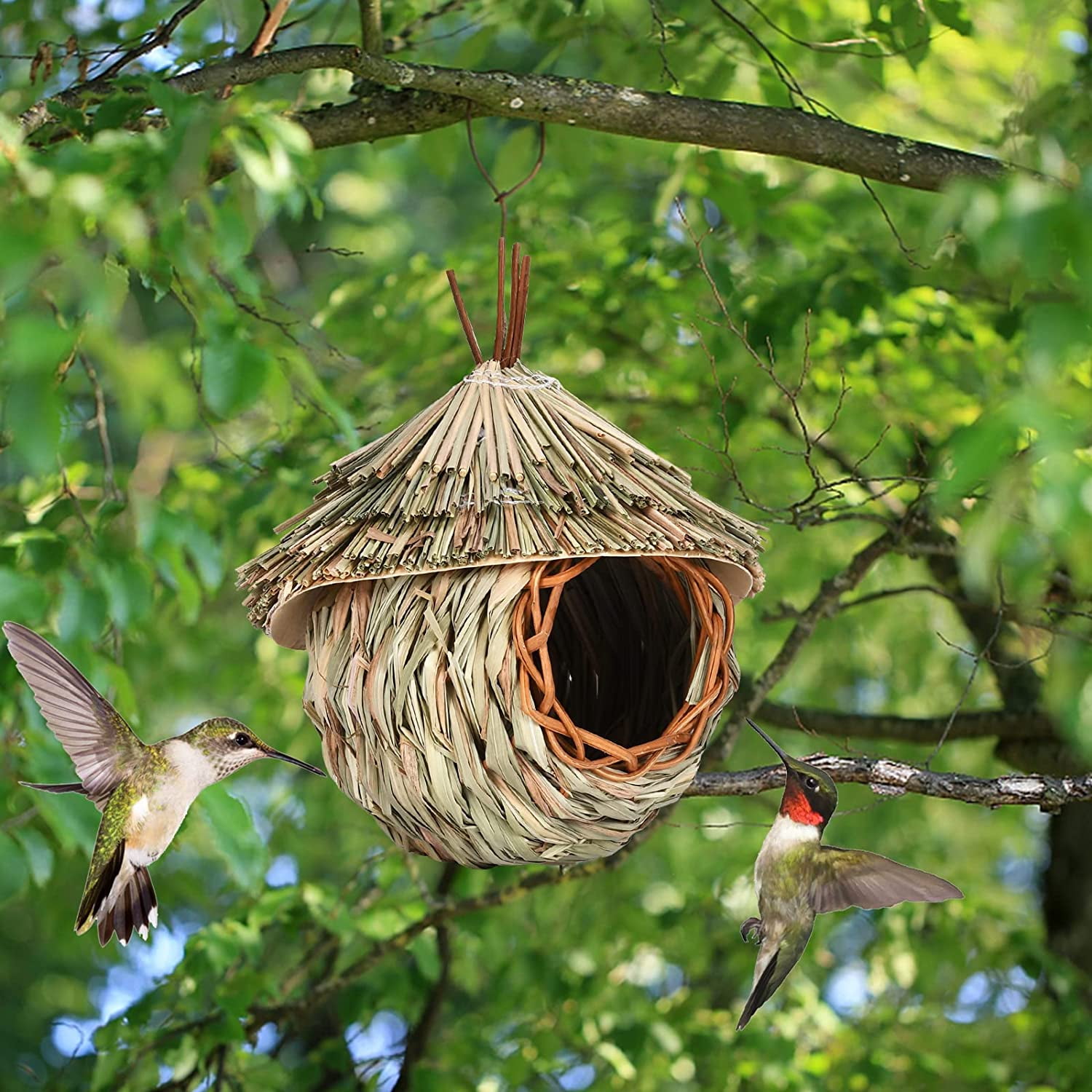 LONA Mangeoires à Oiseaux à Suspendre à L'extérieur - 3 Compartiments