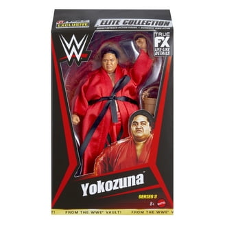 WWE Undertaker Action Figure, Ringside Exclusive, Vault