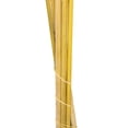 thumbnail image 5 of Vickerman 46" Dried Light Basil Green Pampas 6 pack. It includes two stems. Recommended for Indoor., 5 of 5