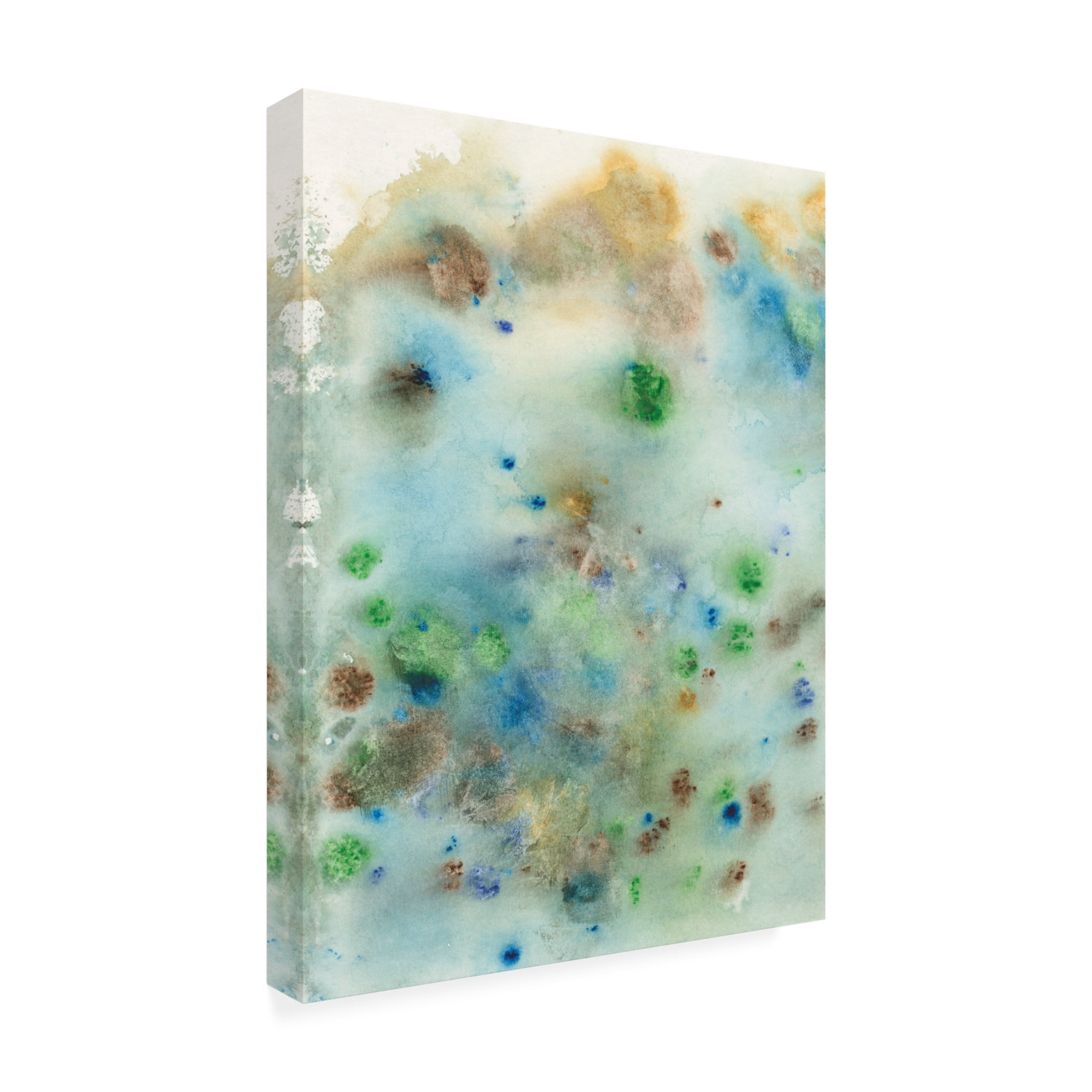 Canvas Wall Art - Jodi Fuchs 'Hawaiian Rain I' Wall Art for Living Room, Bedroom, or Office Décor by Trademark Fine Art - 35 x 47 Inches