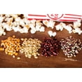 thumbnail image 3 of Amish Country Popcorn | 4 - 4 oz Bags | Popcorn Kernel Variety Sampler | Baby White, Red, Medium Yellow, & Purple Kernels | Old Fashioned, Non-GMO and Gluten Free, 3 of 3