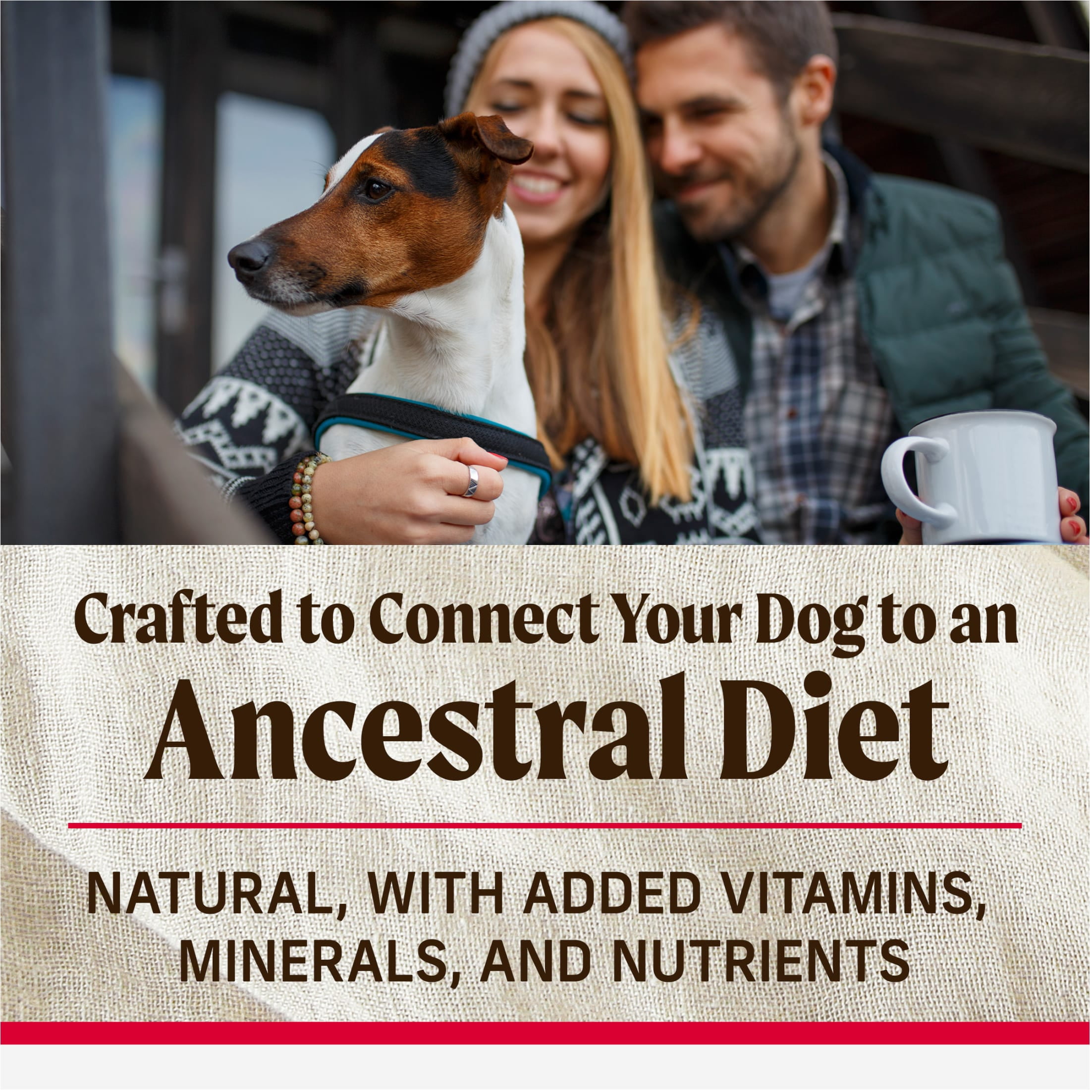 Merrick Backcountry Healthy Grains Kibble With Freeze Dried Raw Pieces, Great Plains Red Meat Recipe Dog Food, 20.0 lb. Bag