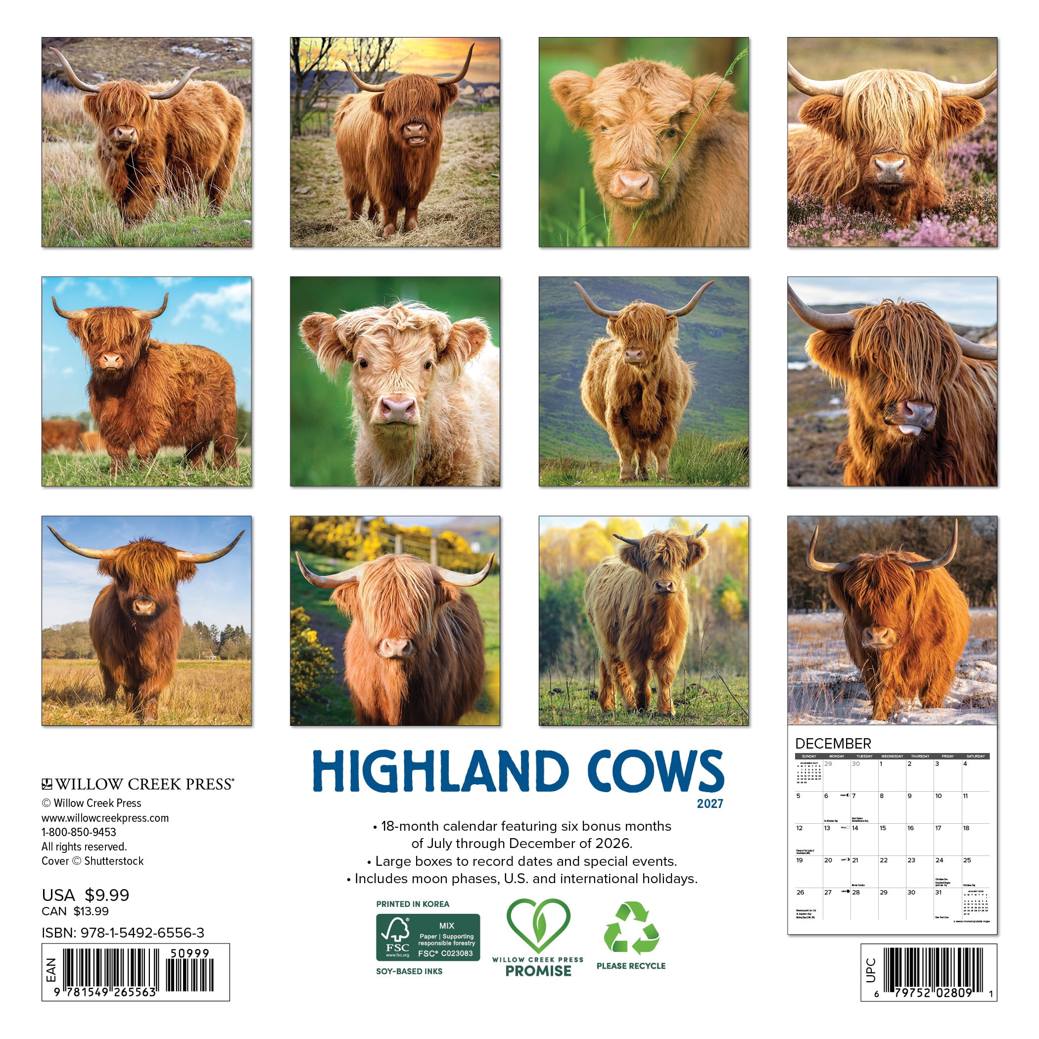 Willow Creek Press, Highland Cows 2027 Mini Wall Calendar