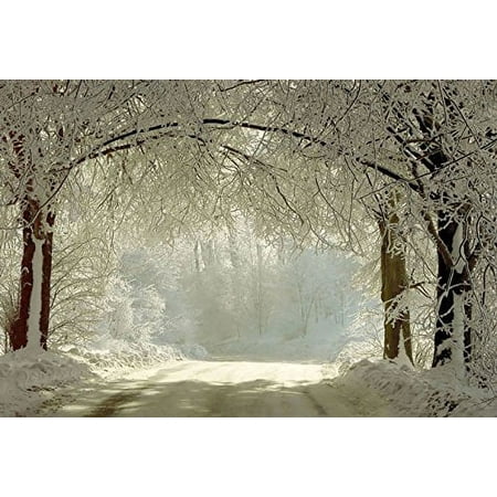 Image of Polyester Fabric 7x5ft Winter Street Backdrop for Photography Snow Frozen Forest Tree Photo Backdrops for Studio Props