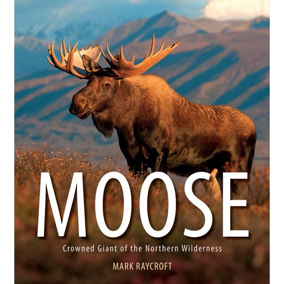 Moose: Crowned Giant of the Northern Wilderness (Paperback)