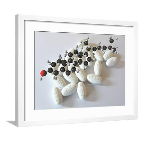 Lipitor -- a Medication Precribed to Treat High Cholesterol with a Molecular Model of Cholesterol Framed Print Wall Art By Carol & Mike (Best Way To Treat High Cholesterol)