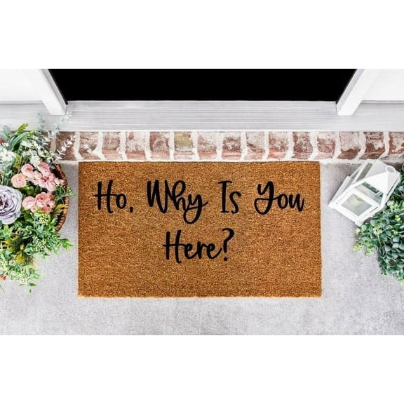 Ho, Why is You Here Mats for Front Door Entry Front Porch Doormat Non-Slip Carpet Rugs Floor Mat Decorative for Home Bathroom Kitchen Indoor 18x30 Inch
