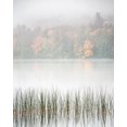 thumbnail image 2 of Collins, Ann 15x18 Black Ornate Wood Framed with Double Matting Museum Art Print Titled - USA-New York-Adirondacks Long Lake-reeds-fog-and fall foliage at Eaton Lake, 2 of 4