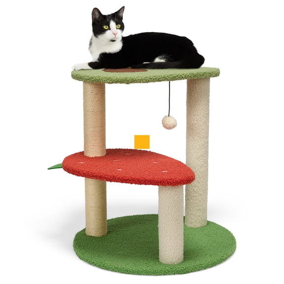 EveryYay Fruit Novelty 2-Level Cat Tree 20.5" H