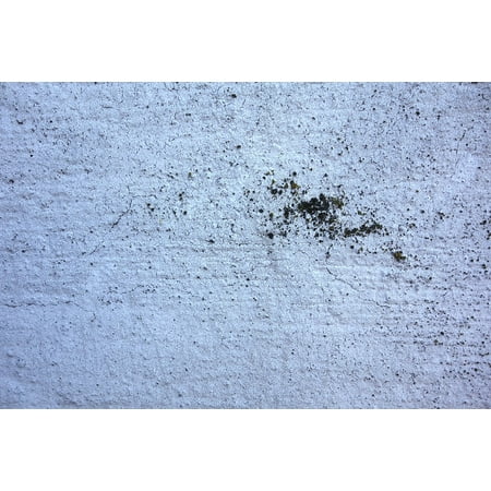 Canvas Print White Stains Cracks Wall Plaster Structure Facade Stretched Canvas 10 x (Best Way To Fix Cracks In Plaster Wall)