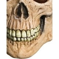 thumbnail image 3 of Crypt Skull Mask, 3 of 4