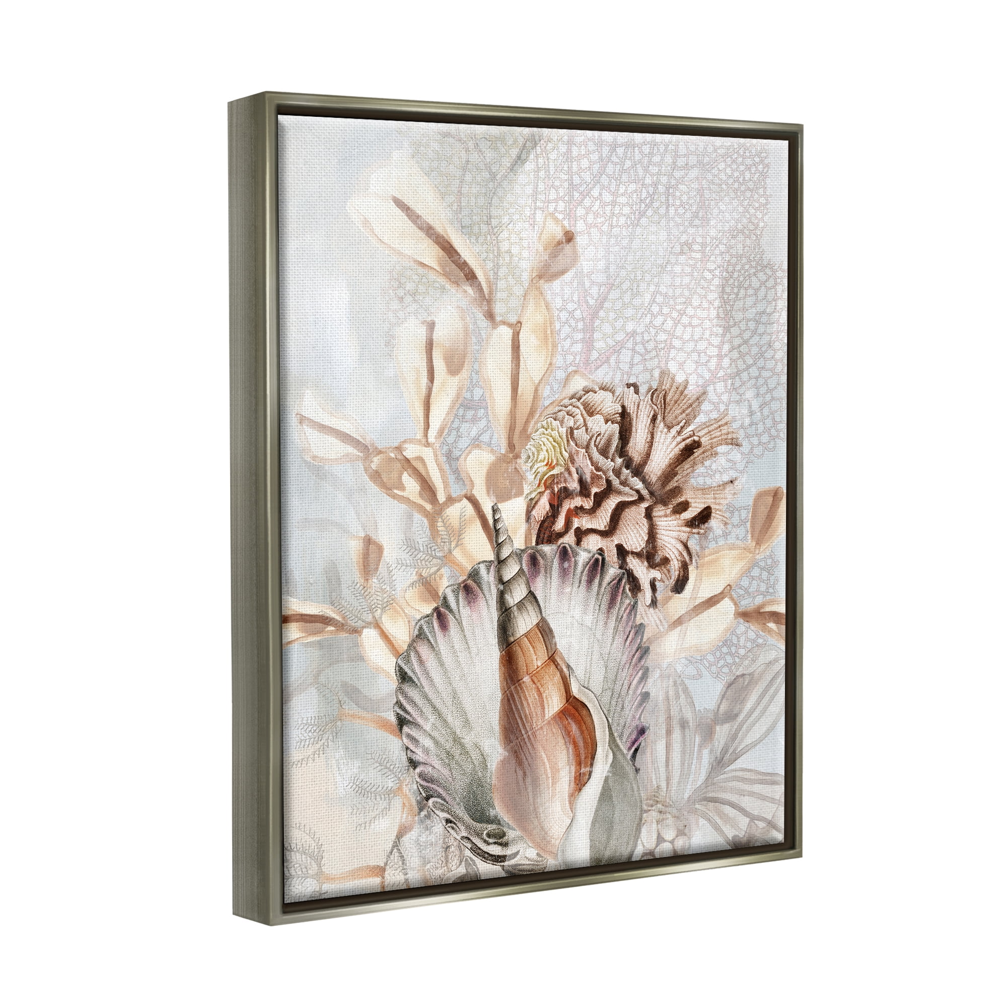 Stupell Industries Various Beige Sea Life Animals & Insects Painting Gray Floater Framed Canvas Art Print Wall Art, 17 x 21