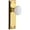 Lifetime Brass, variant on Grandeur 821964 Fifth Avenue Solid Brass Rose Single Dummy Door - Brass